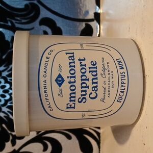 Eucalyptus Mint Emotional Support Candle -l